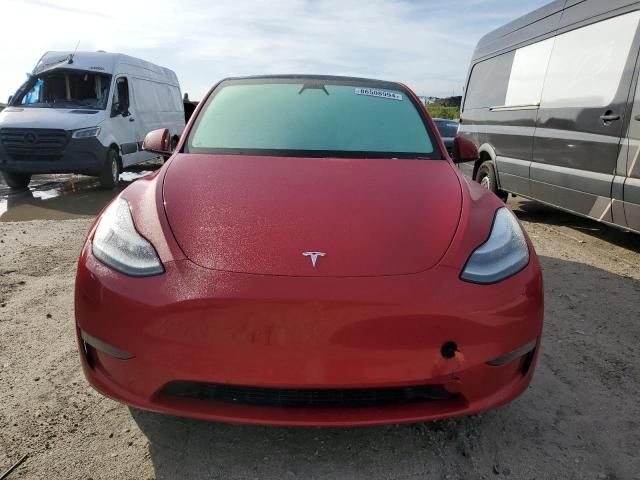 2020 Tesla Model Y