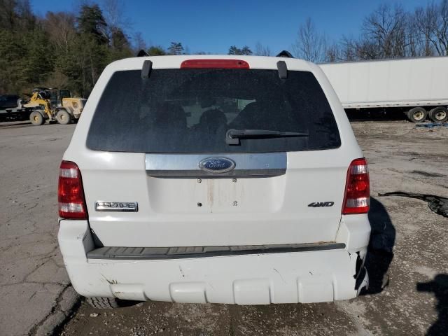 2008 Ford Escape Limited