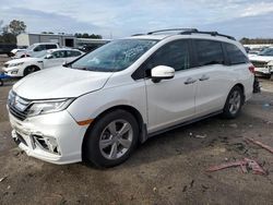 Salvage cars for sale at Harleyville, SC auction: 2020 Honda Odyssey EXL