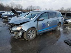 Honda Odyssey salvage cars for sale: 2016 Honda Odyssey SE