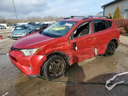 Salvage cars for sale at Louisville, KY auction: 2017 Toyota Rav4 LE