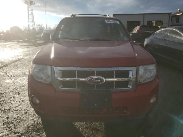 2011 Ford Escape XLT