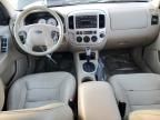 2007 Ford Escape XLT