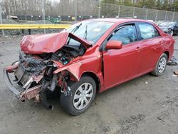 Toyota Corolla salvage cars for sale: 2011 Toyota Corolla Base