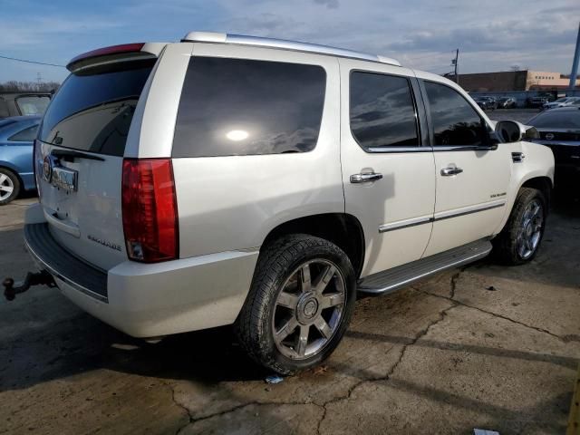 2010 Cadillac Escalade Luxury