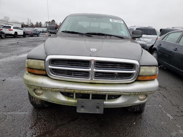 2004 Dodge Dakota Quad SLT