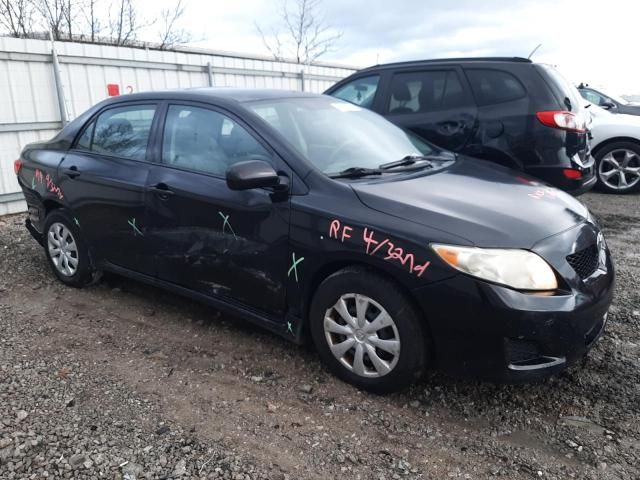 2010 Toyota Corolla Base