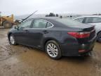 2013 Lexus ES 300H