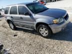 2007 Ford Escape XLT