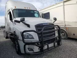 Salvage trucks for sale at North Las Vegas, NV auction: 2022 Freightliner Cascadia 126