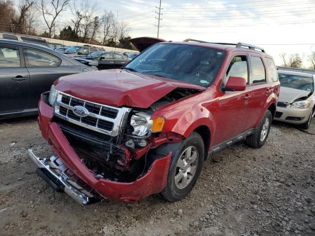 2011 Ford Escape Limited