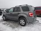 2009 Ford Escape XLT