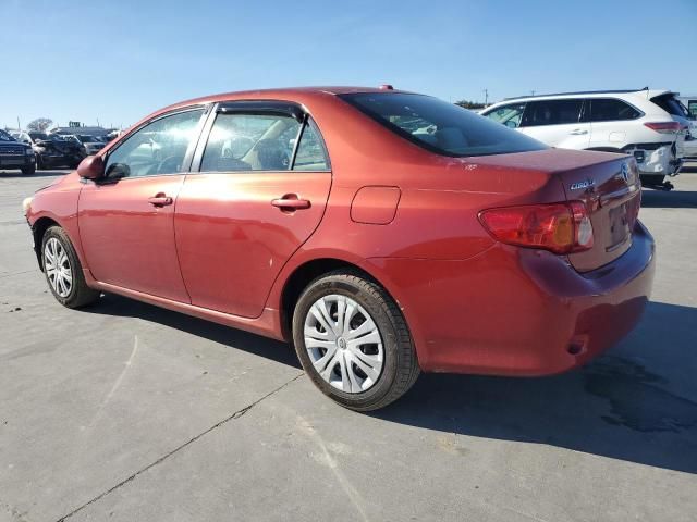 2009 Toyota Corolla Base