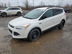 Salvage cars for sale at Montreal Est, QC auction: 2015 Ford Escape SE