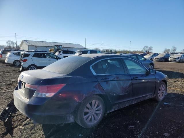 2011 Honda Accord EXL