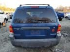 2007 Ford Escape XLT