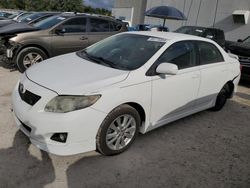 Salvage cars for sale from Copart Apopka, FL: 2010 Toyota Corolla Base