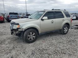 Ford salvage cars for sale: 2010 Ford Escape Limited