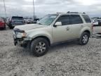 2010 Ford Escape Limited