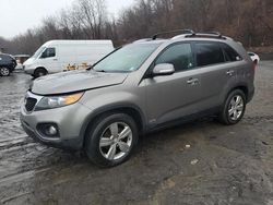 Lots with Bids for sale at auction: 2013 KIA Sorento EX