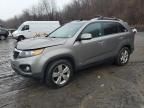 2013 KIA Sorento EX