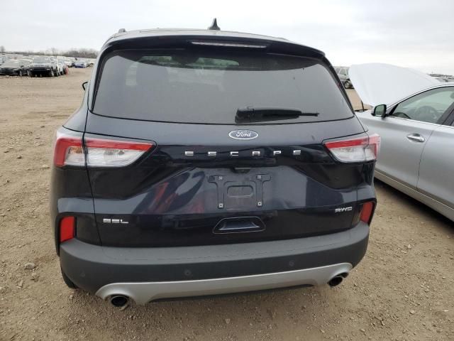 2021 Ford Escape SEL