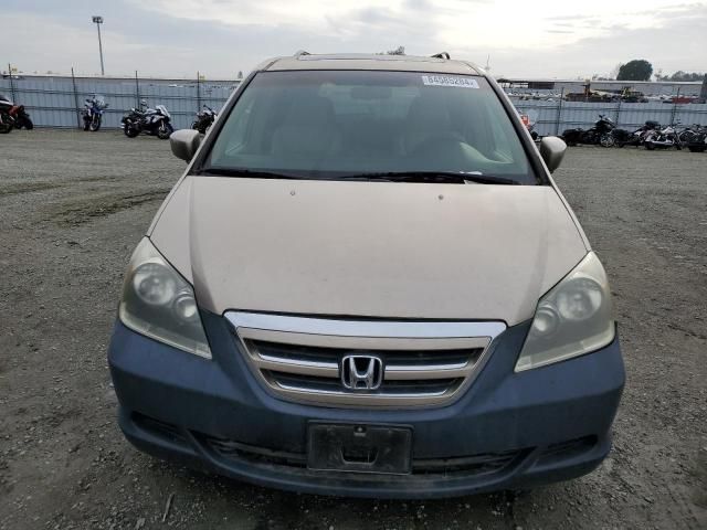 2005 Honda Odyssey EXL