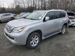 Lexus gx salvage cars for sale: 2012 Lexus GX 460