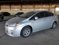 Salvage cars for sale at Phoenix, AZ auction: 2010 Toyota Prius