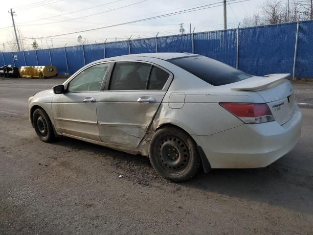 2009 Honda Accord EXL