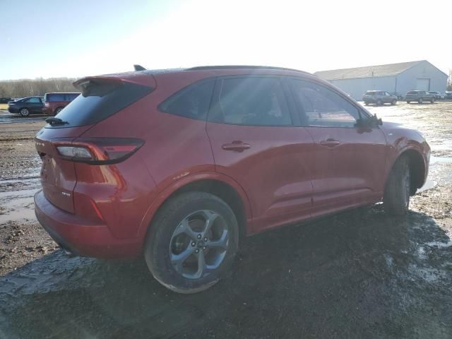 2023 Ford Escape ST Line