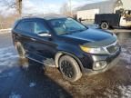 2012 KIA Sorento Base