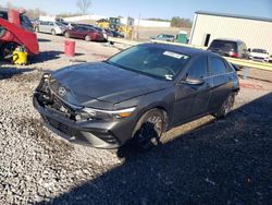 Hyundai salvage cars for sale: 2024 Hyundai Elantra SEL