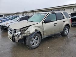 Ford Escape Vehiculos salvage en venta: 2010 Ford Escape XLT