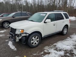 2011 Ford Escape Hybrid en venta en Cookstown, ON