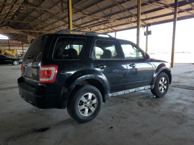 2009 Ford Escape Limited