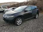 2009 Nissan Murano S