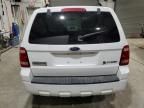 2008 Ford Escape HEV