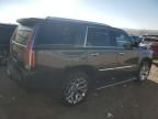 2017 Cadillac Escalade Premium Luxury