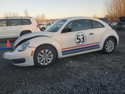 Salvage cars for sale at Arlington, WA auction: 2013 Volkswagen Beetle