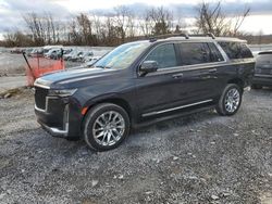 Cadillac Vehiculos salvage en venta: 2022 Cadillac Escalade ESV Premium Luxury