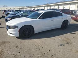 Flood-damaged cars for sale at auction: 2017 Dodge Charger SXT