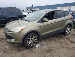 Salvage cars for sale at Woodhaven, MI auction: 2013 Ford Escape SEL