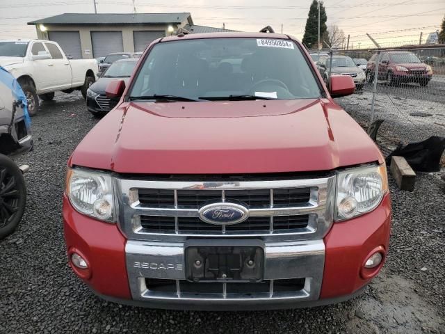 2009 Ford Escape Limited