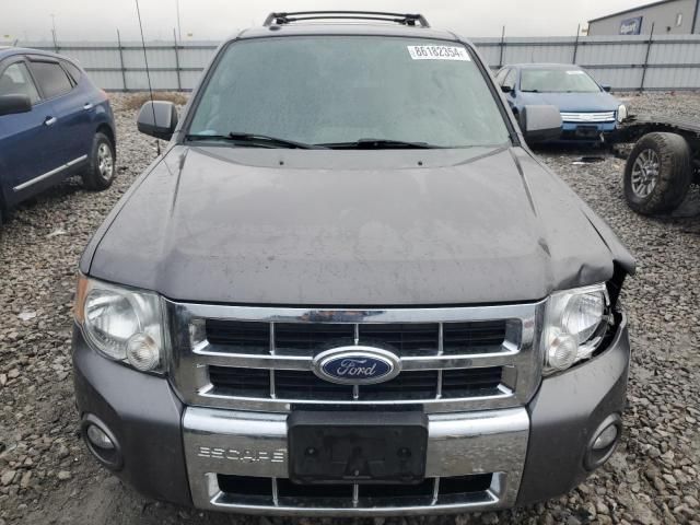 2011 Ford Escape Limited