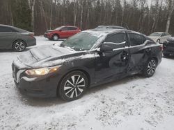 Nissan Sentra salvage cars for sale: 2023 Nissan Sentra SV