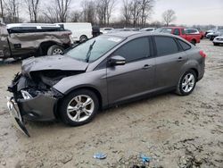 Salvage cars for sale at Cicero, IN auction: 2014 Ford Focus SE