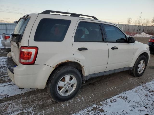 2011 Ford Escape XLT