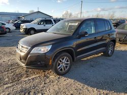 Volkswagen Vehiculos salvage en venta: 2011 Volkswagen Tiguan S