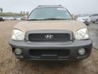 2004 Hyundai Santa FE GLS